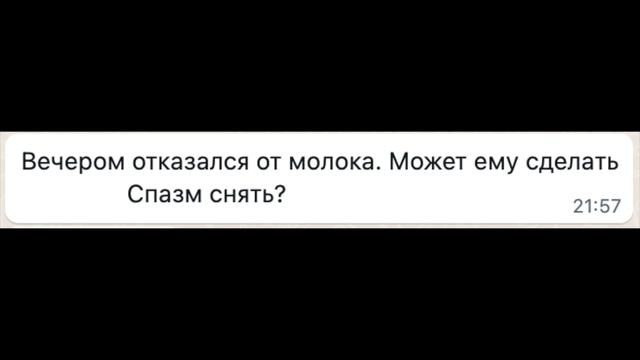 4 ДНЯ ЗЕЛЕНЫЙ ПОНОС ВОДОЙ У КОЗЛЕНКА, ЛЕЧИЛИ САМИ, НО В ИТОГЕ РЕШИЛИ ОБРАТИТСЯ КО МНЕ смотреть онлайн