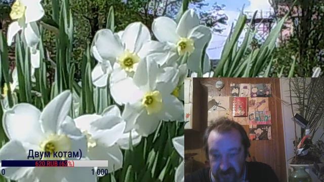 КАПС ВКЛ! ПОГОДА СПАТЬ. смотреть онлайн
