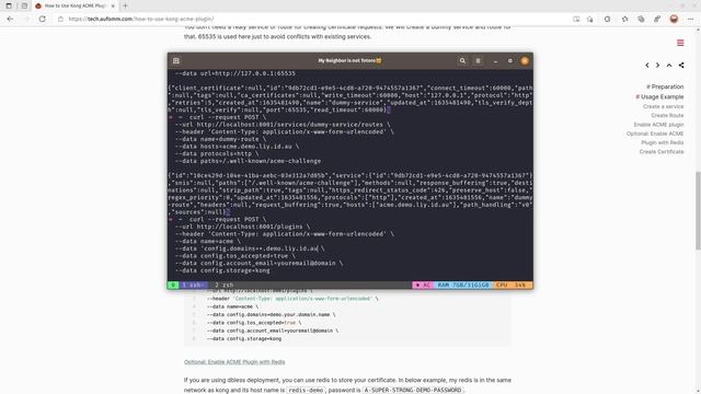 How to use Kong ACME plugin to get free SSL certificate смотреть онлайн