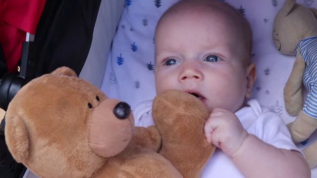 МАЛЫШ ФИДЕЛЬ 4 МЕСЯЦА смотреть онлайн