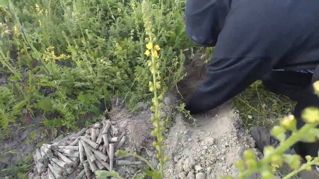 Думали россыпь патрон, а оказалось.......... Часть 1 Брянская область Севский район смотреть онлайн