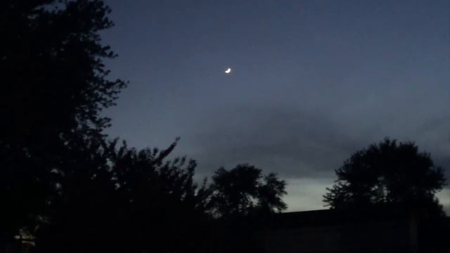 ｒｅｌａｘ смотреть онлайн