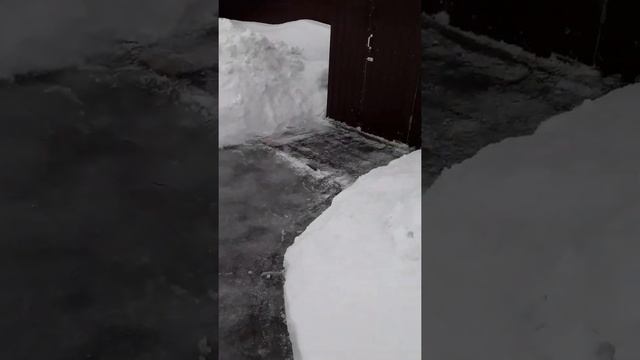 Зимние заботы дачника. смотреть онлайн