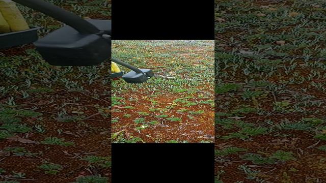 сбор морошки стоя эксперимент https://vk.com/club223023506
www.sbor-yagod.ru смотреть онлайн