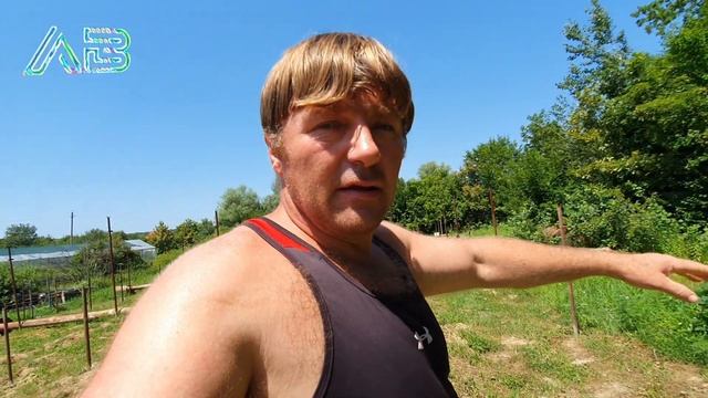 Разметка фермерской теплицы по высоте смотреть онлайн