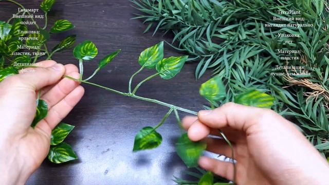 РАСТЕНИЕ ЗА 1500 РУБЛЕЙ ПРОТИВ РАСТЕНИЯ ЗА 150 РУБЛЕЙ смотреть онлайн