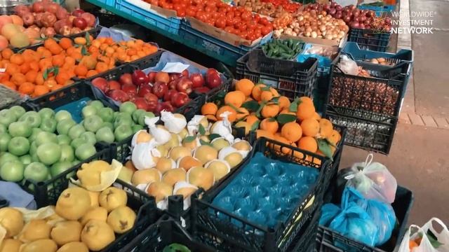 Travel North Cyprus With Cansu - Visiting Nicosia/Lefkosa смотреть онлайн