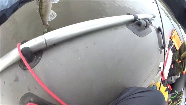 ЗНАКОМСТВО С СУДАКОМ Первый судак СУДАК НА СПИННИНГ