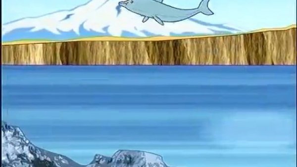 Spotlight 4 Student's Book Module 4 At the Zoo page 58 ex. 1 Funny Animals Songs #EnglishStream