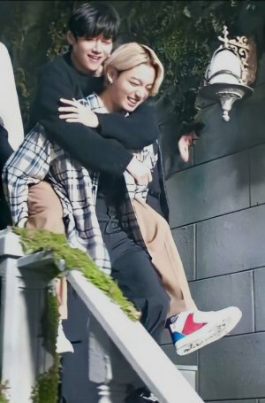 Анализ карантина Вигуков декабрь 2021