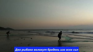 Рыбалка неводом на индийском побережье в Аравийском море. Как вам улов?