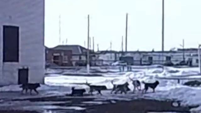 Хворостянка, ТРК "Спектр" смотреть онлайн