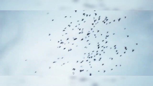 стал свидетелем уб1йства человека смотреть онлайн