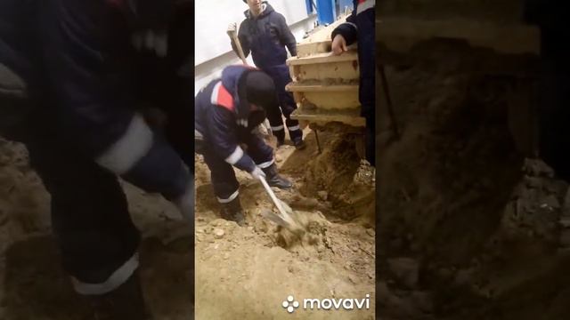 Ксмп вахта смотреть онлайн