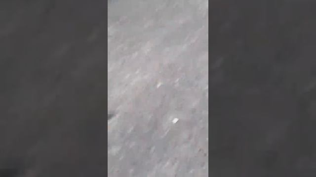 Поездка в доскино смотреть онлайн
