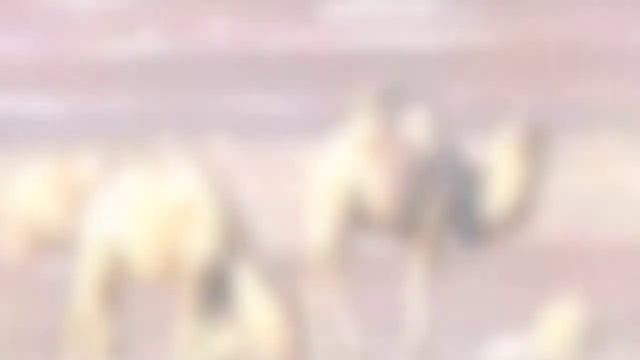 Энциклопедия ? для детей?. Жизнь без воды. ПУСТЫНЯ смотреть онлайн
