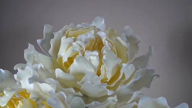 Пион с изолона обзор. Ростовые цветы. DIY. Peony review. смотреть онлайн