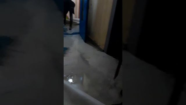 сорвало пожарный кран на 16 этаже смотреть онлайн