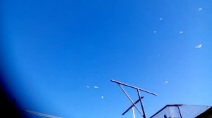 Первый гон 2020 Гривуны Пермские