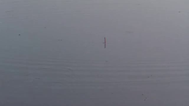 Уклейка. Рыбалка летом. Ловлю рыбу смотреть онлайн