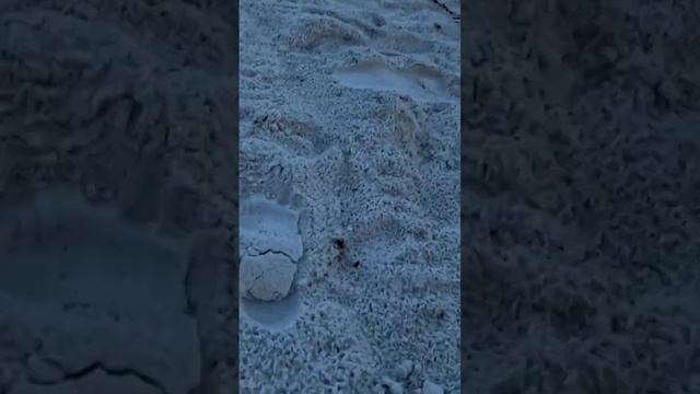 Beach Treasure смотреть онлайн