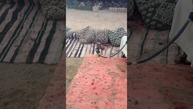 Правильный кальян. Новейшая разработка в истории. Shorts #shorts #шортс