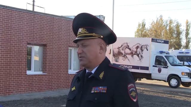В Волгограде появилась конная полиция смотреть онлайн