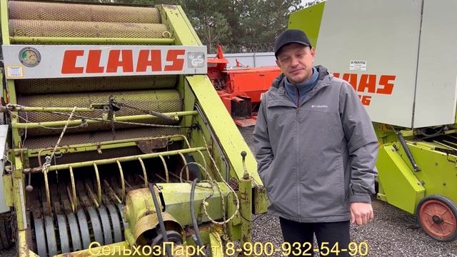 Коровы едят КАМЫШ | Волгоград минусы Claas  Claas Rollant 44