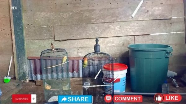 Update Playlist Ott navigator, Tivi mate & Iptv