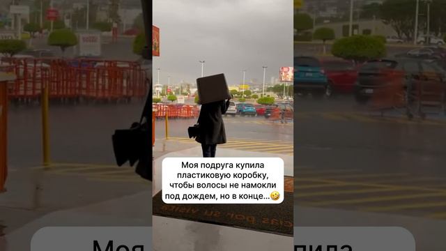 А как вы защищаетесь от дождя?😺