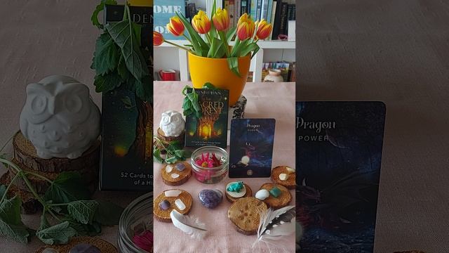 Scorpio ♏ The Sacred Forest Oracle: Dragon. It's about Power. смотреть онлайн