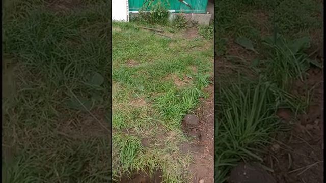 Как сделать заземления в частном доме треугольником смотреть онлайн