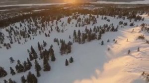 НАРОДНЫЕ ПРИМЕТЫ НА 24 ФЕВРАЛЯ 2021 ГОДА!!!!