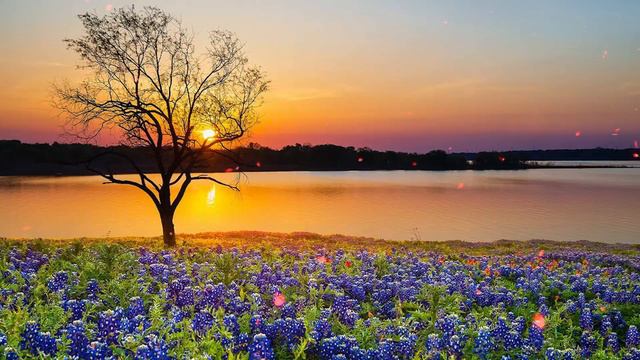 Мелодия чудесная, входит в твою сущность постепенно и наполняет теплом и ЛЮБОВЬЮ #54 смотреть онлайн