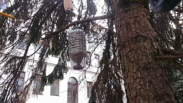 кормушка для синиц через три месяца смотреть онлайн