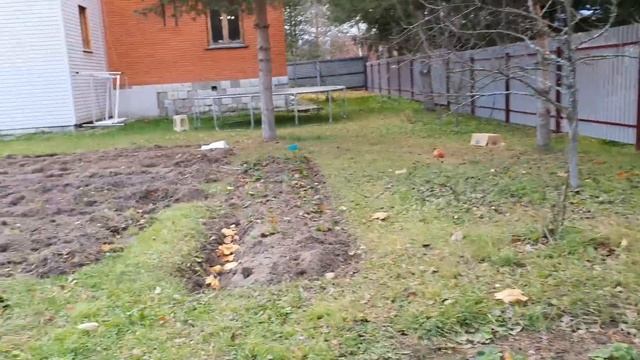 Приехал меценат в гости и оплатил все наши долги? смотреть онлайн