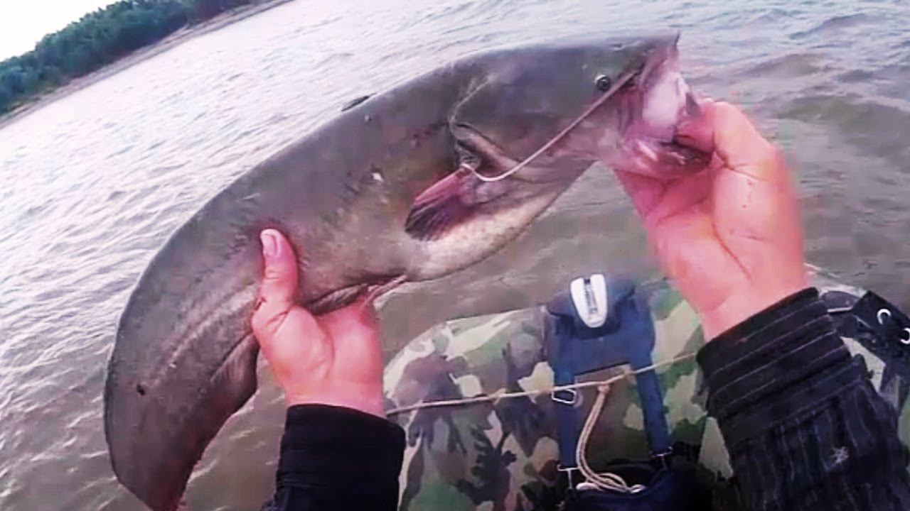 Рыбалка на перемёт, первая рыба ! Ловля сома на перемёт смотреть онлайн