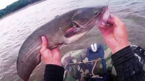 Рыбалка на перемёт,  первая рыба ! Ловля сома на перемёт