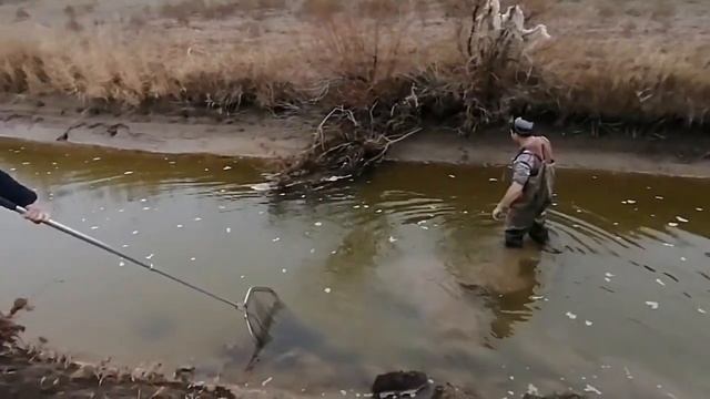 Зимняя рыбалка руками и сачком. смотреть онлайн