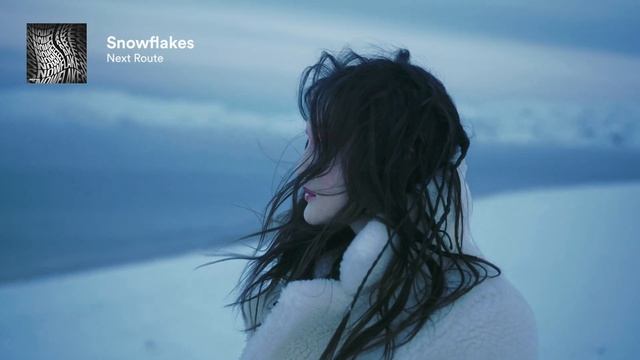 Snowflakes - Next Route (No Copyright Music) | Release Preview