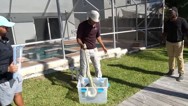 10 FOOT GIANT STEALING PETS Caught in MY BACKYARD! смотреть онлайн