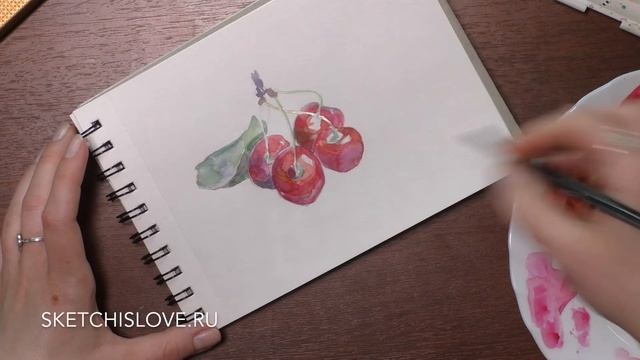 Как нарисовать вишню акварелью. смотреть онлайн