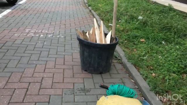 ВЫСАДКА КИПАРИСОВ В ГЕЛЕНДЖИКЕ ГЛАЗАМИ АЛИНЫ 30.01.2021 смотреть онлайн