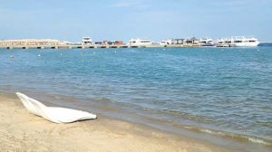 Лакшери Отдых! Steigenberger Aldau Beach Hotel *5  !  Pure Lifestyle  5*. !  Хургада. Египет.