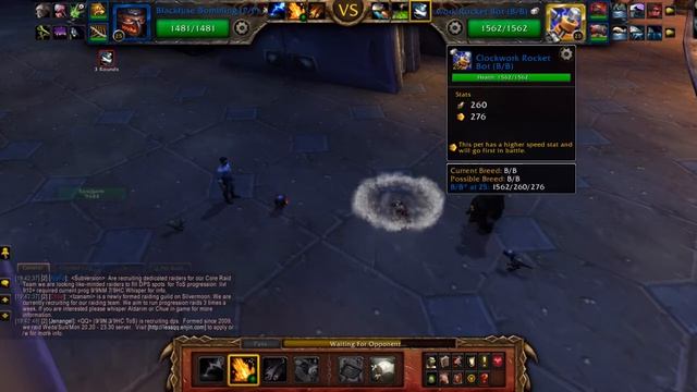 PVP Pet Battles - Team: Squirrel Bomb смотреть онлайн