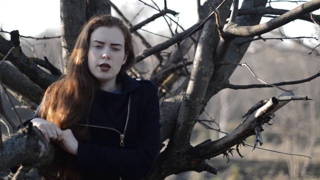 Елена Смородина- Через двадцать лет смотреть онлайн