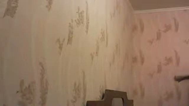 Видео с веб-камеры. Дата: 1 июля 2013 г., 4:23.