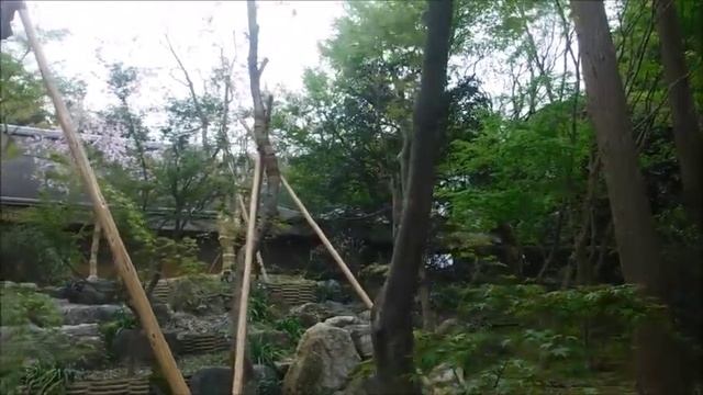 Киото Парк храма Рёандзи смотреть онлайн