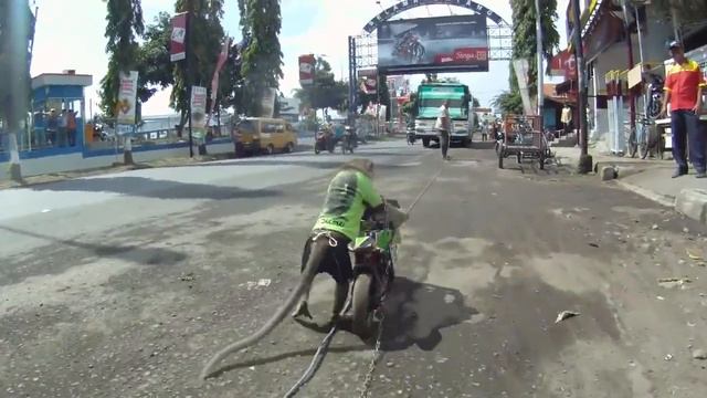 Monkey on a motorcycle Обезьяна на мотоцикле смотреть онлайн