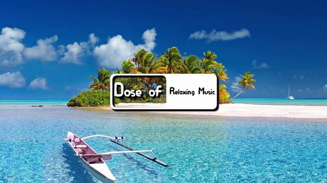 Beautiful Bamboo Flute Zen Relax Music & Nature Tropical Forest Sounds Meditation Sleep смотреть онлайн